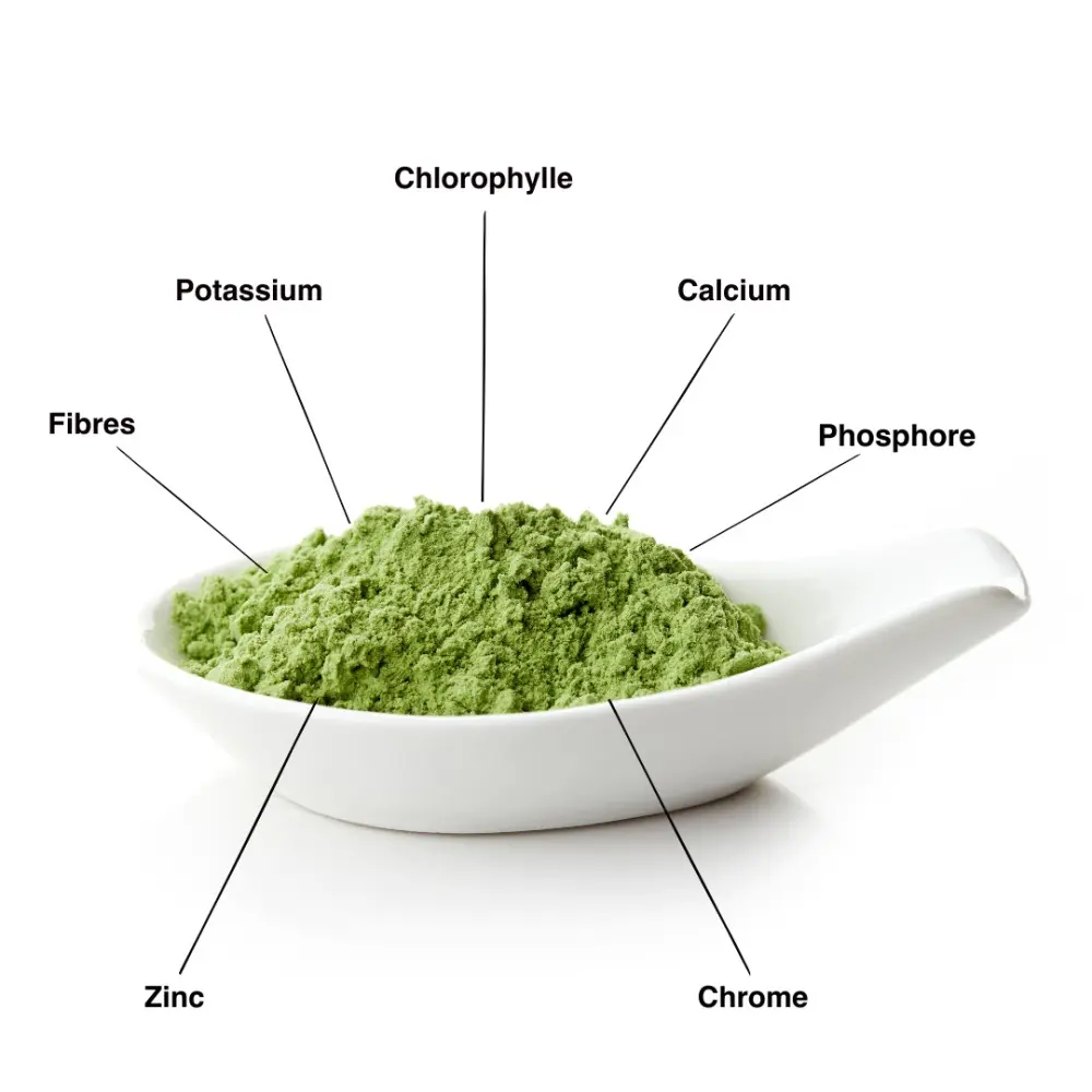 jeunes-pousses-orge-vert-superaliment-150 (1).webp